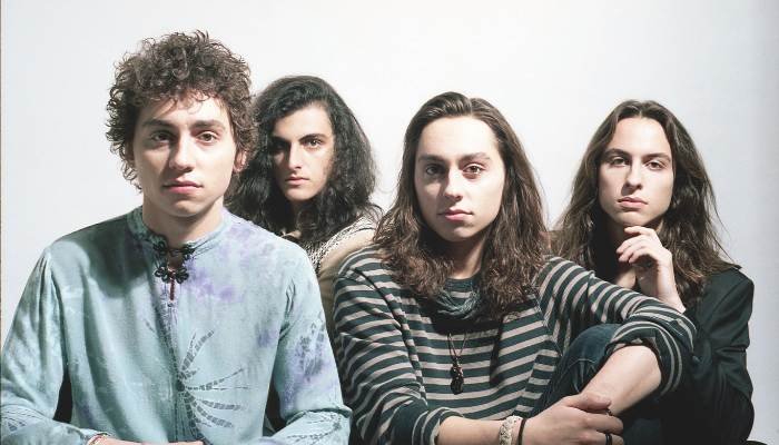 Greta Van Fleet Net Worth