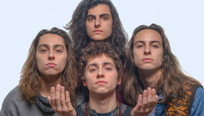 Greta Van Fleet net worth